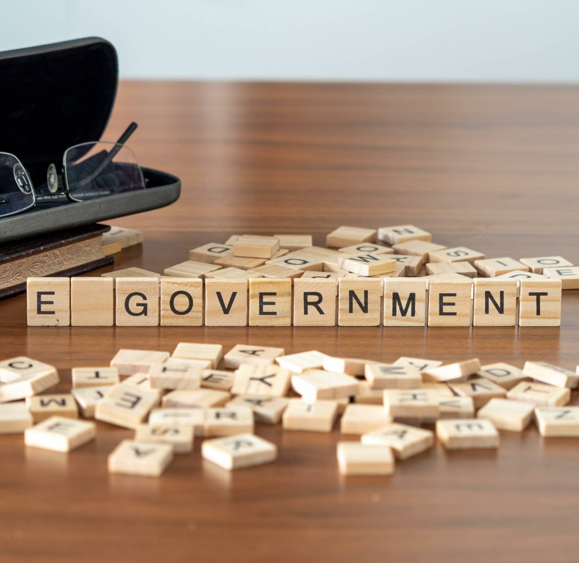 the word e-government on wooden blocks