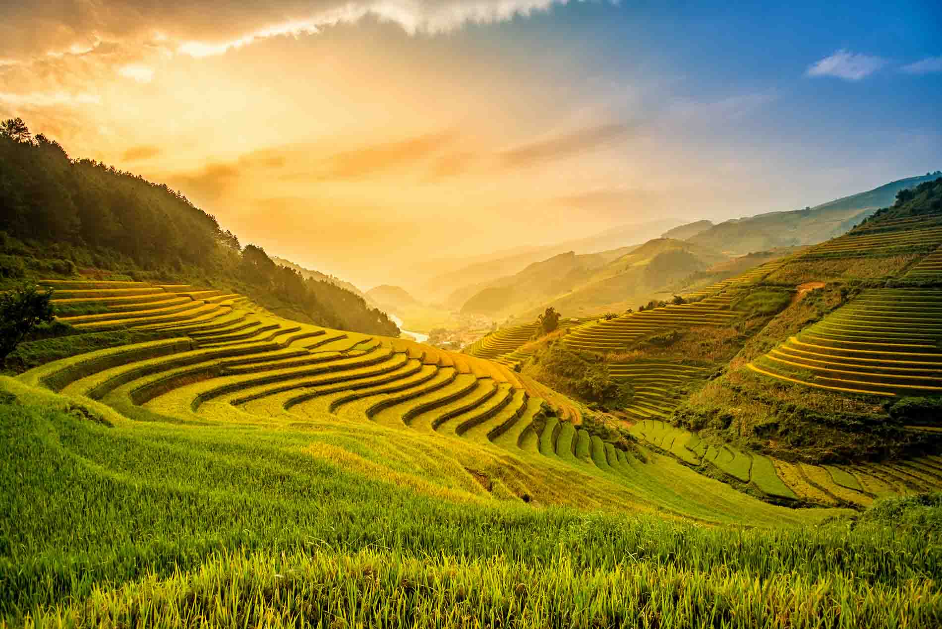 A sunset on the rice terraces of Northern Vietnam, with a river in the background.