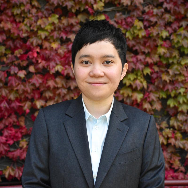 Dr  Dang  Nguyen