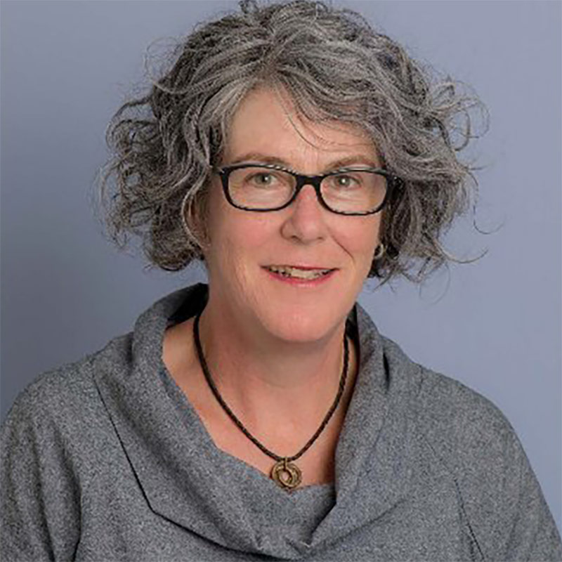 Professor  Lisa  Waller