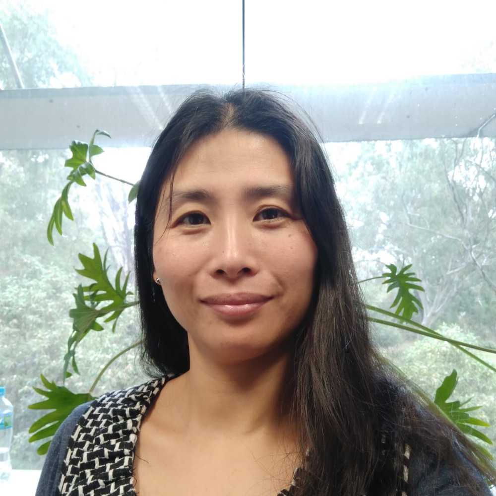 Dr Yao Wang