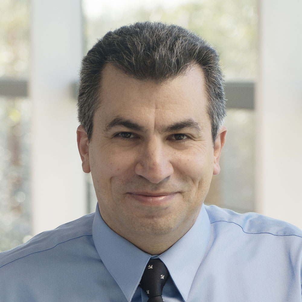 Professor Pier  Marzocca