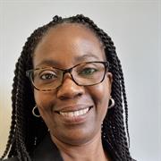 Professor Lola Akin Ojelabi