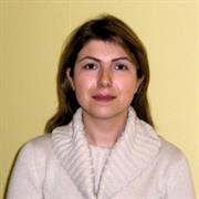 Professor Sara Moridpour