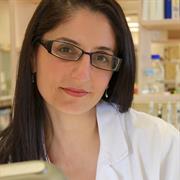 Professor Mary Tolcos