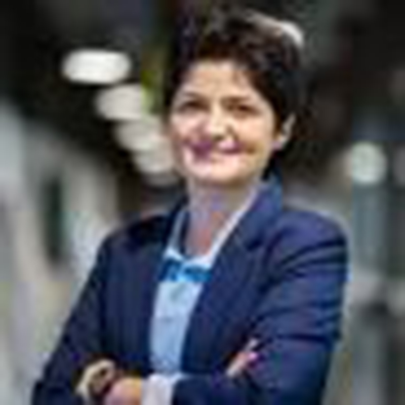 Professor Noushin Nasiri