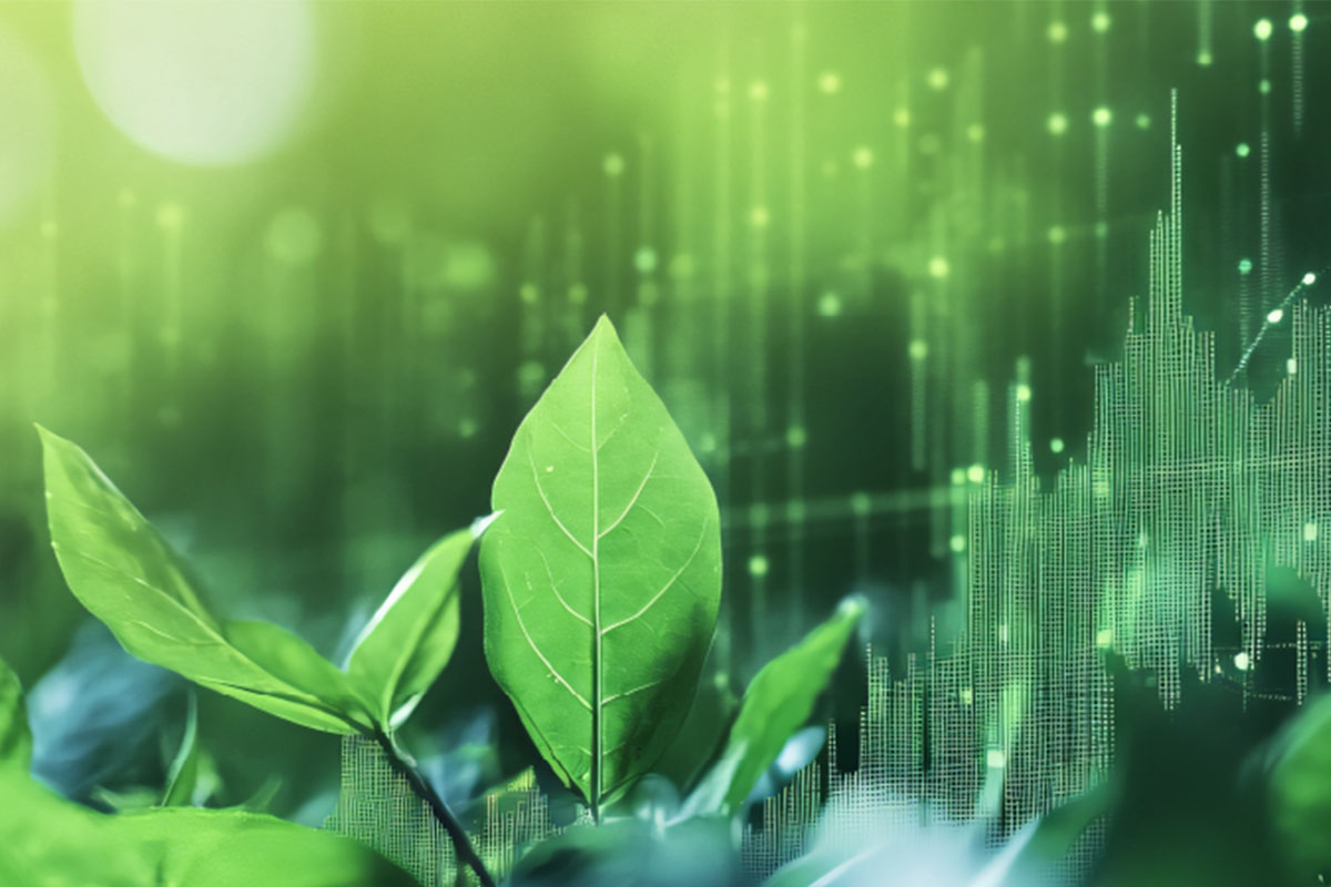 Sustainable Development​