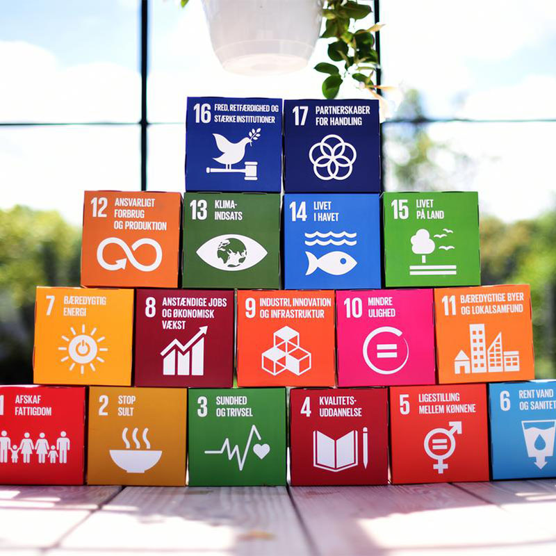 sdg-blocks.jpg