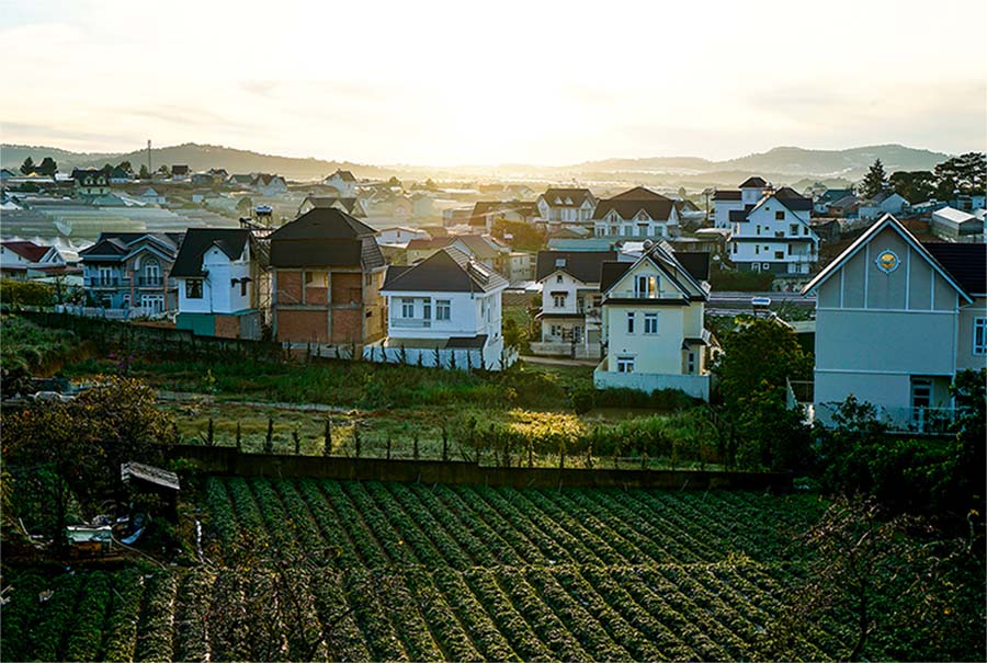 Dalat needs to establish robust environmental monitoring and enforcement mechanisms (image: Unsplash).