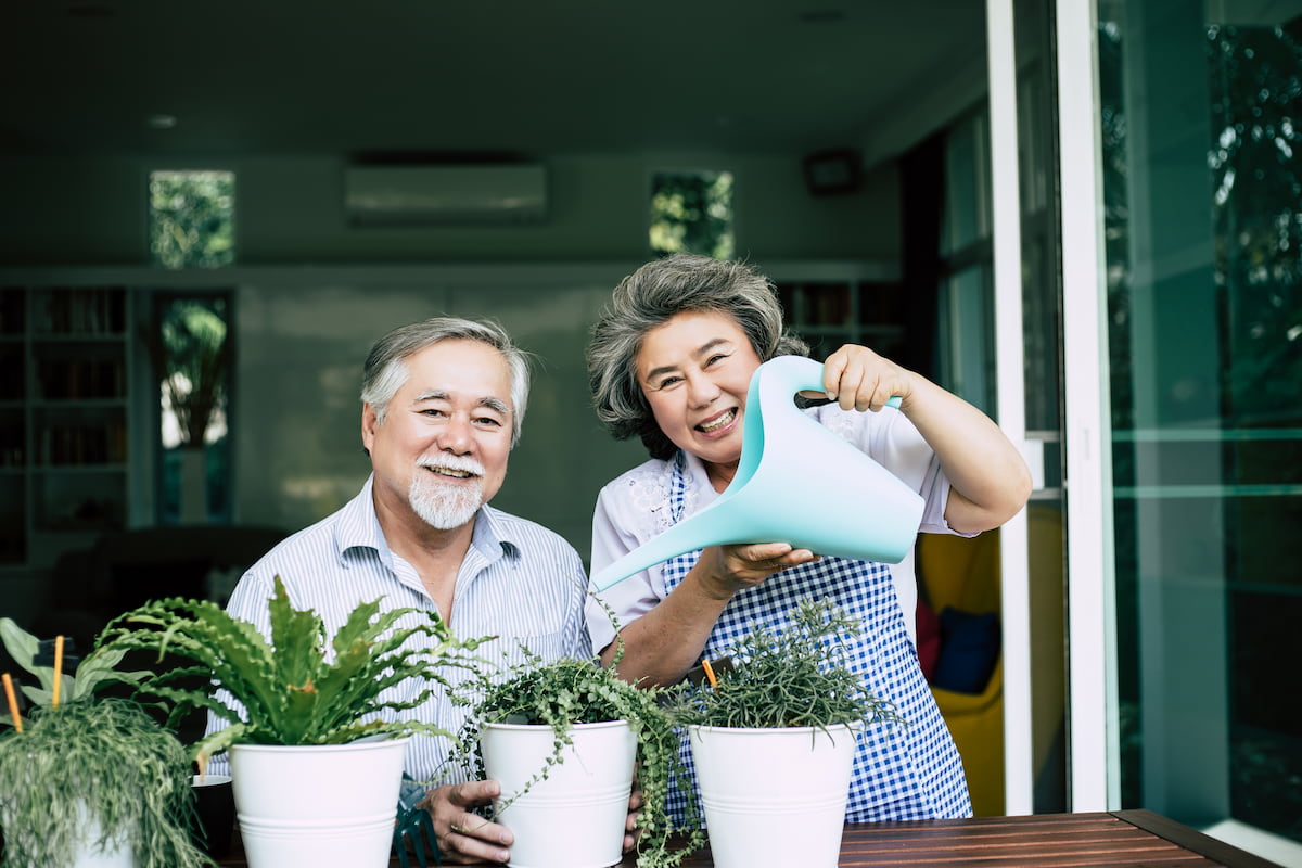 elderly-couples-talking-together-plant-trees-pots.jpg