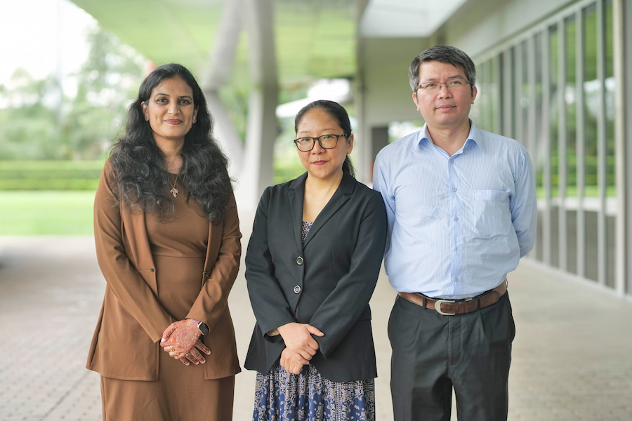 Dr Greeni Maheshwari, Dr Nhu Do, and Dr Son Dao
