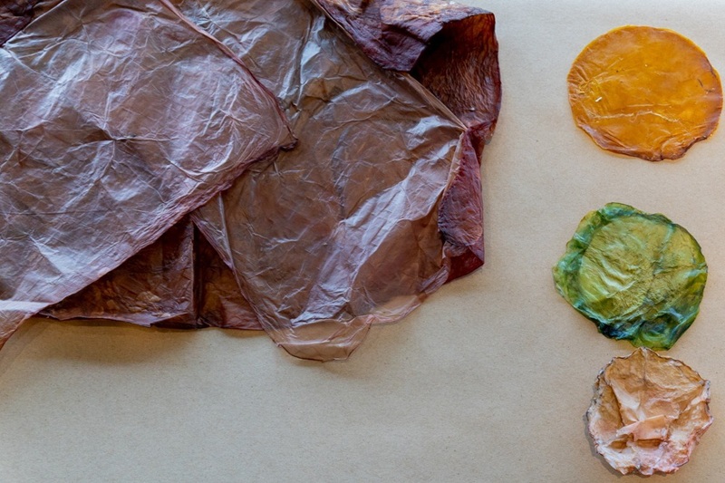 Colourful bacterial cellulose textile samples