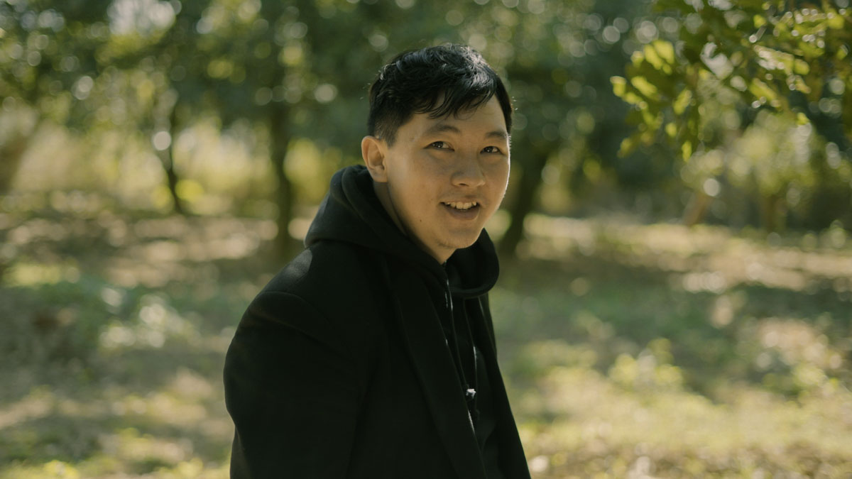 A person wearing a dark hooded jacket and a backpack reaches up to examine macadamia fruit hanging from a tree in a sunlit orchard.