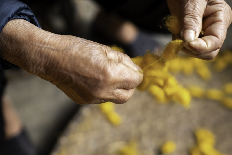 Alt Text is not present for this image, Taking dc:title 'reimaged-tradition-2'