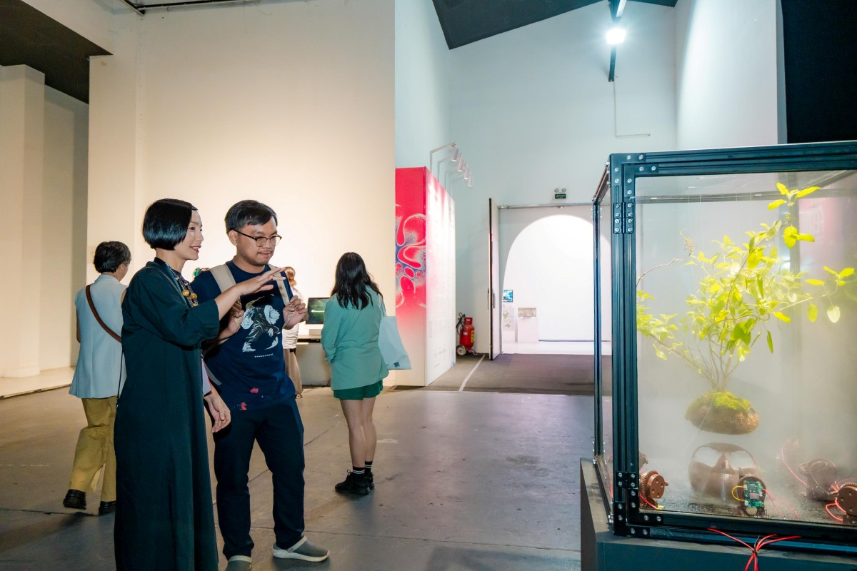 Audiences looking at a plant in a glass box