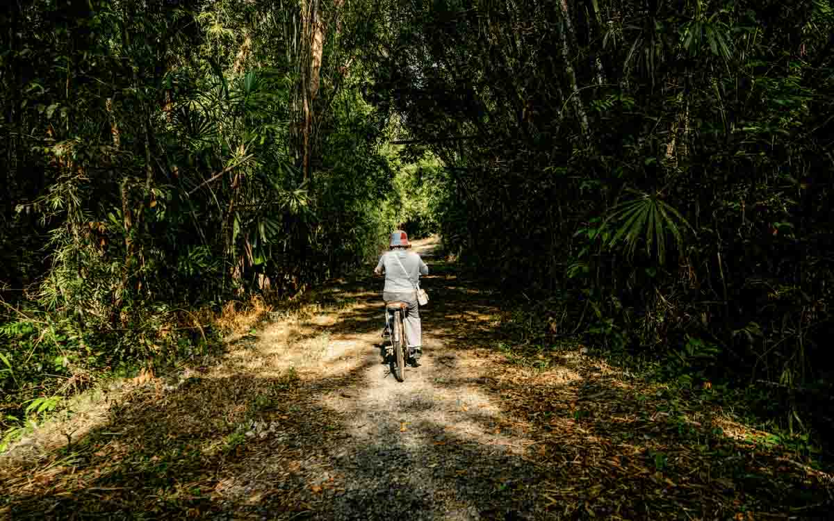 Alt Text is not present for this image, Taking dc:title 'wellness-tourism-news-2'