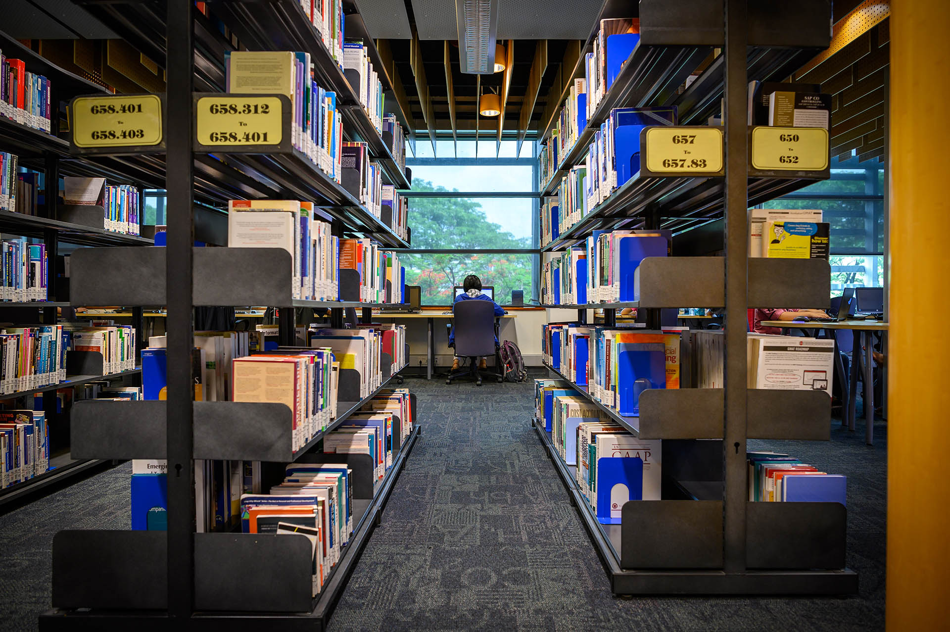 The back of a student sitting at a desk, with shelves of books on both sides