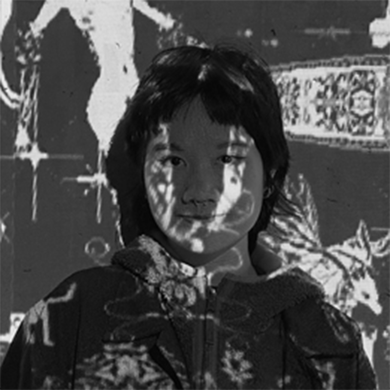 Ngoc Nguyen Doan Bao profile image