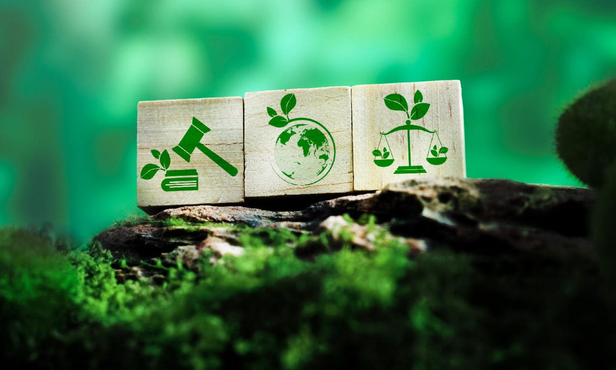 Cardboard boxes with green sustainability icons are placed outdoors on lush greenery.