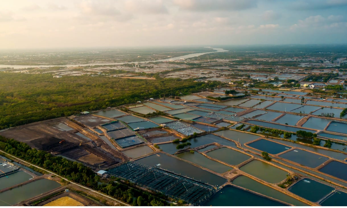 Aerial view of agricultural or aquaculture plots divided into geometric sections by water.