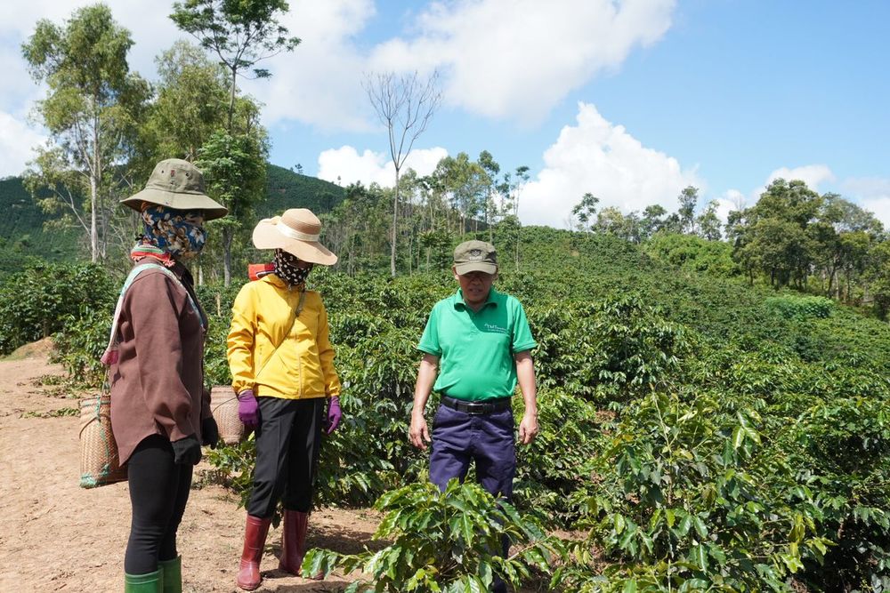 Coffee farmers receiving field based safety guidance on a coffee farm