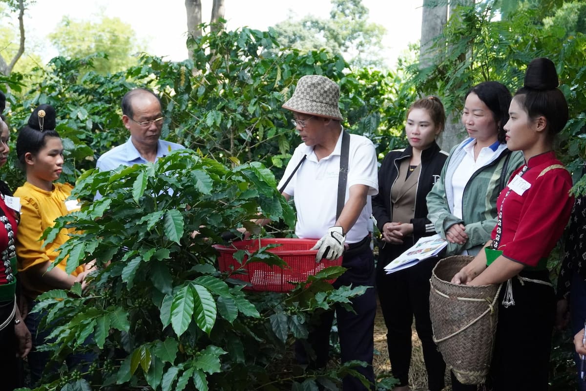 Coffee farmers receiving technical guidance in the field