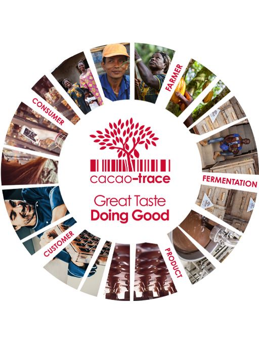 Cacao‑Trace Sustainability Value Chain