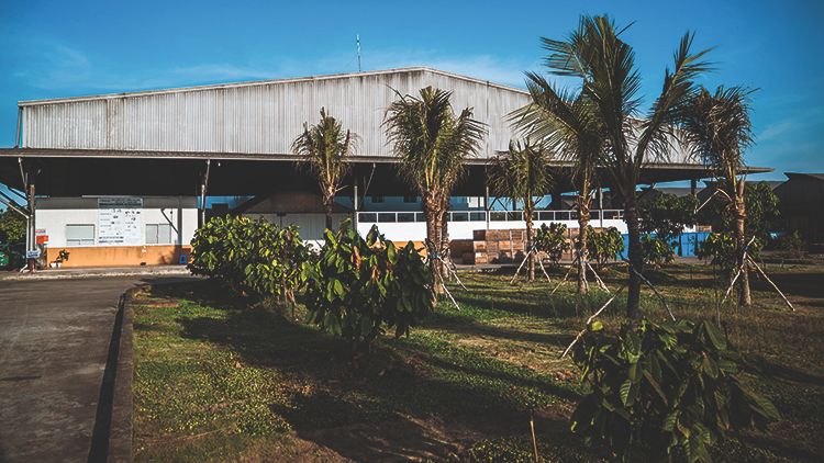 Cocoa processing facility building