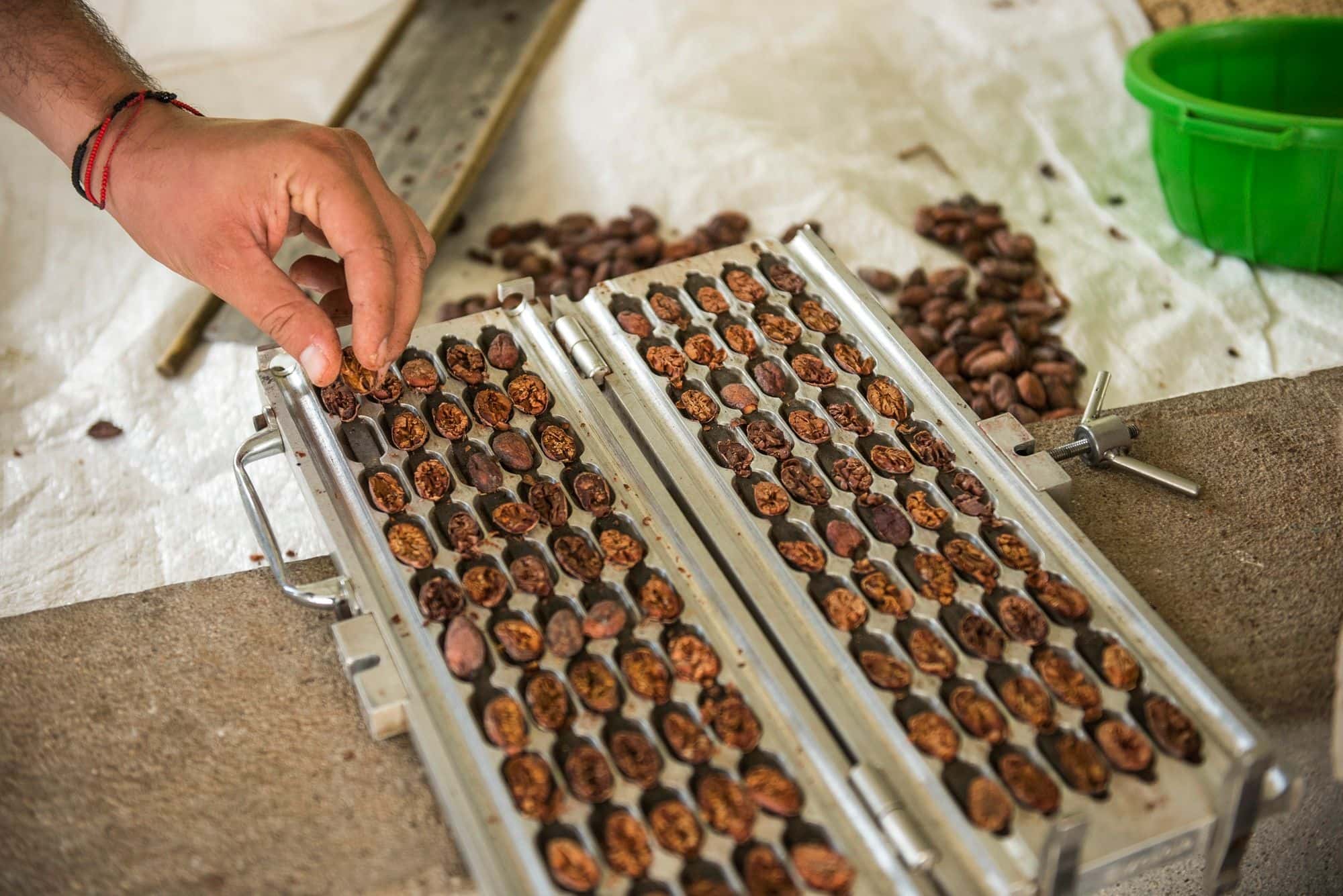 Cocoa bean processing for chocolate production