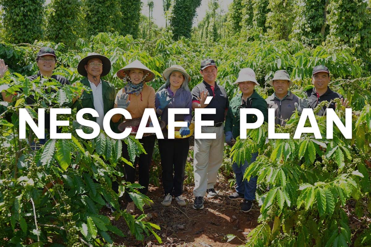 Nescafe Plan video thumbnail