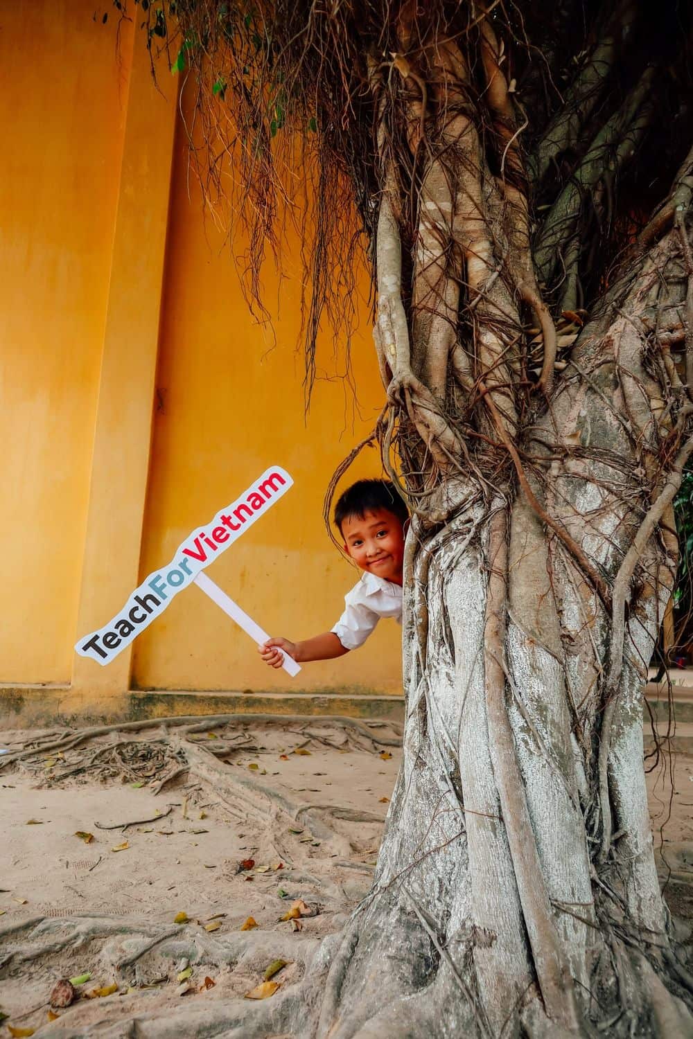 A boy holding Teach for Vietnam sign