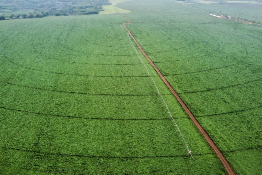 37,000-hectare sustainable raw material farming area