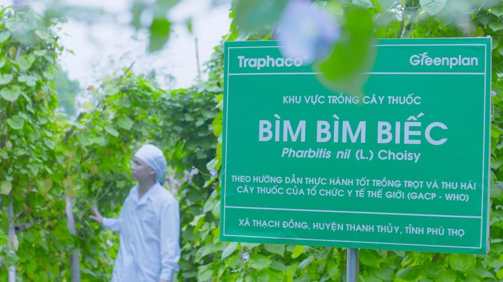 Medicinal plant cultivation area sign for pharbitis nil production
