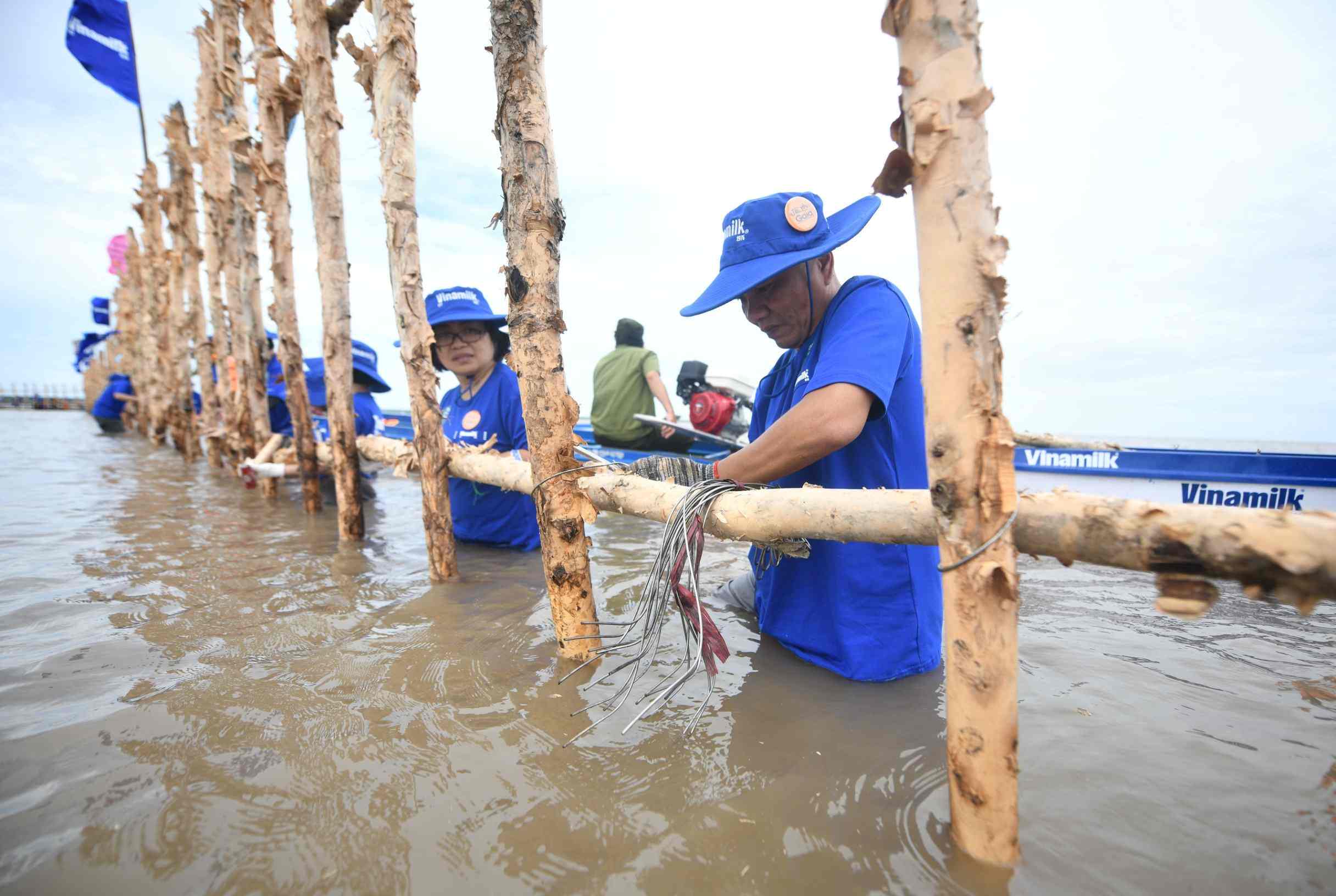 Volunteers reinforce coastal wave barriers for Vinamilk Net Zero