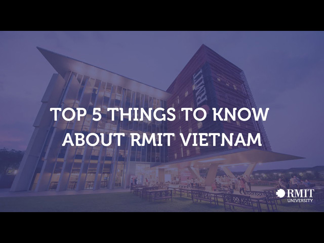 Text And Media Video