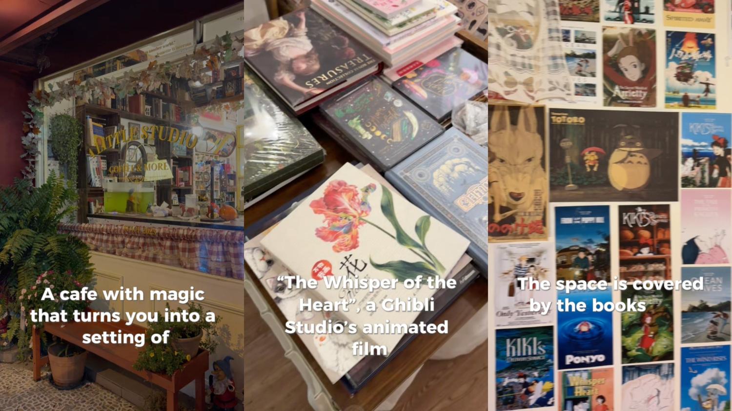 The event drew over 100 participants, with strong engagement across its activities 