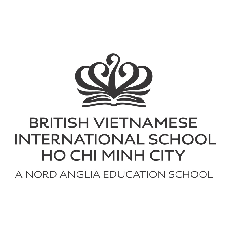 BVIS logo