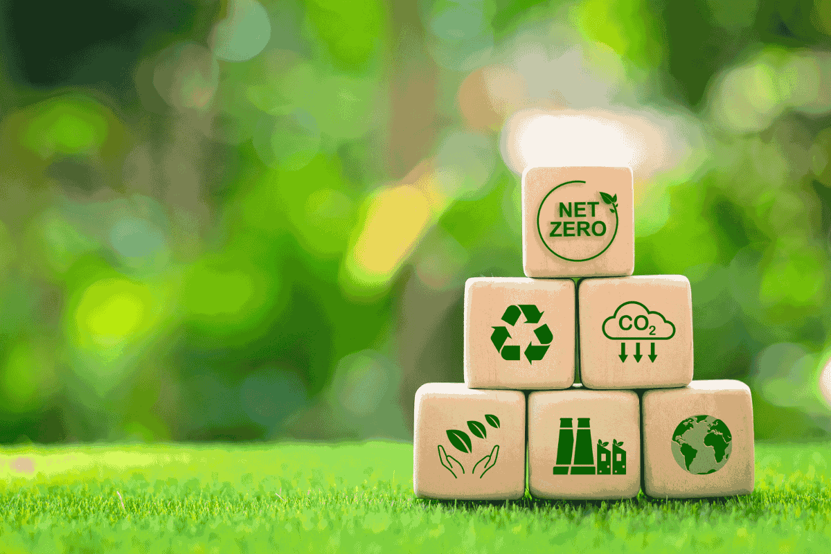 green-goals-on-wooden-squares.png