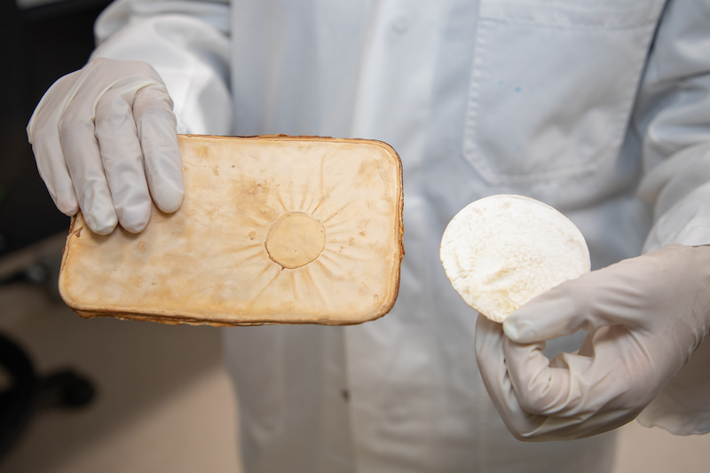 Fire-retardant fungi