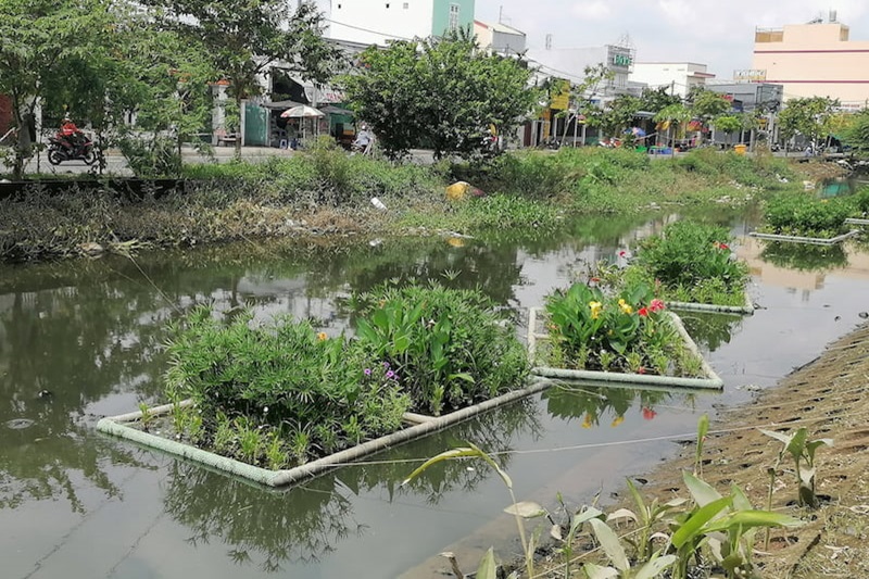 Floating wetlands built by the project team