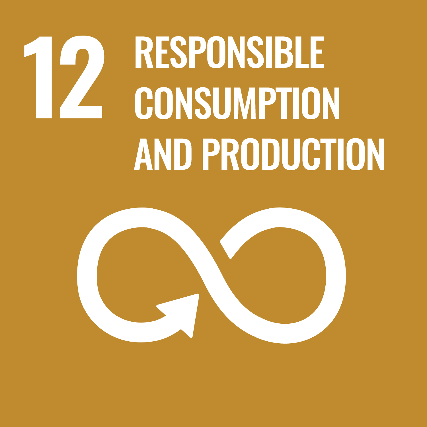 the phrase 12 responsible consumption and production in white on a brown background