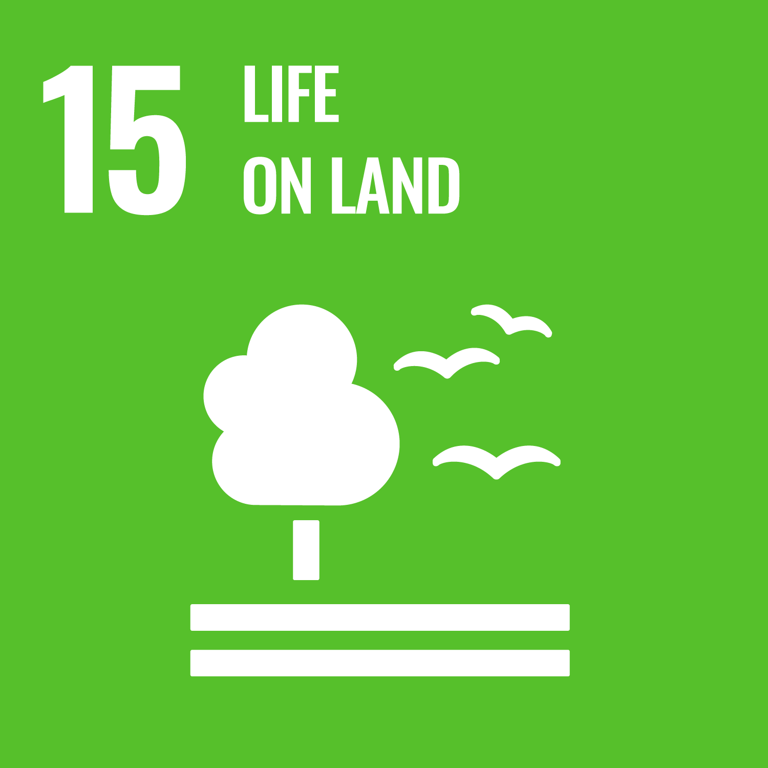 the phrase 15 life on land in white on a green background