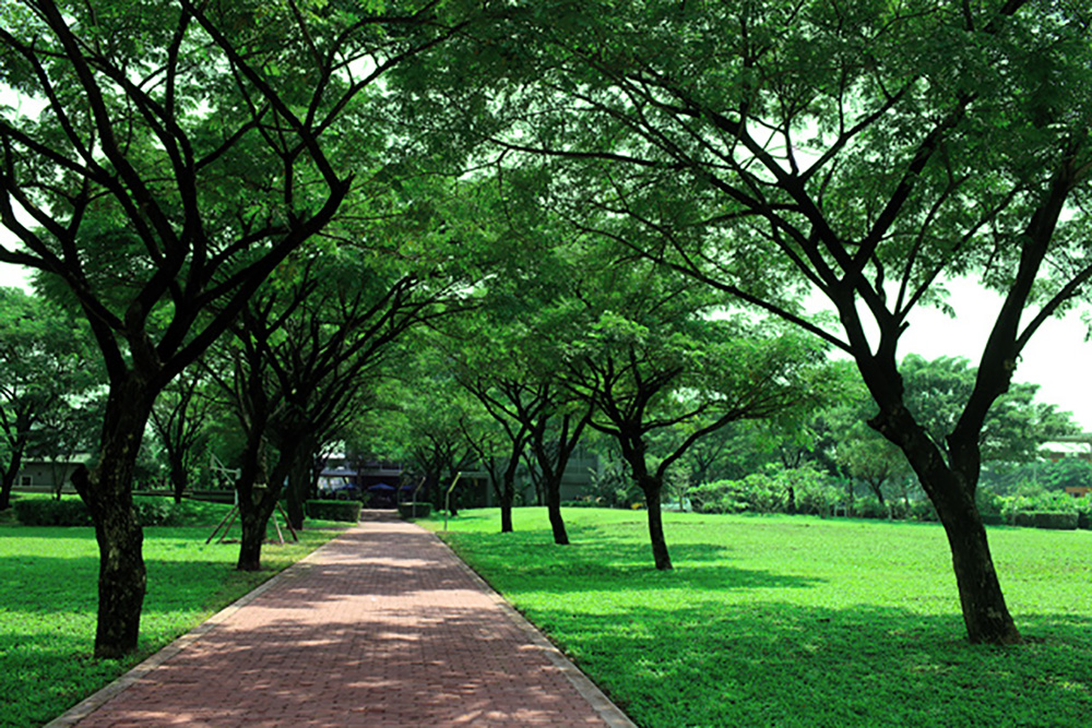 rmit sgs campus facilities