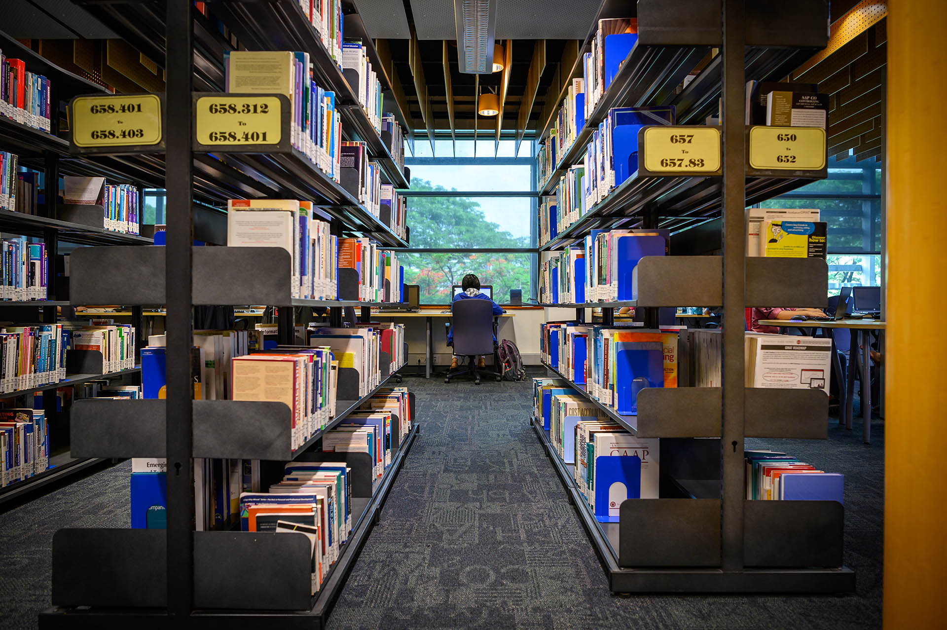 a view of a student sitting afar with shelves of books on both sides