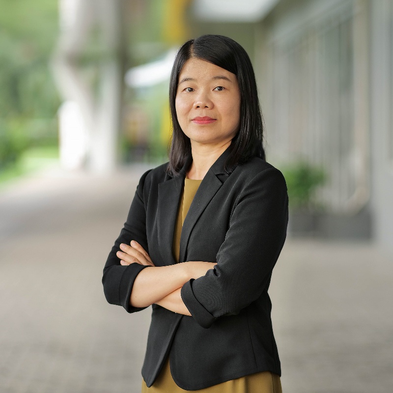 vietnam-2050-thuy-nguyen.jpg
