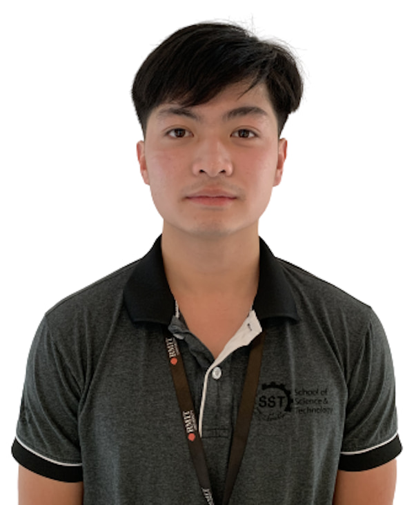 vu thanh minh it