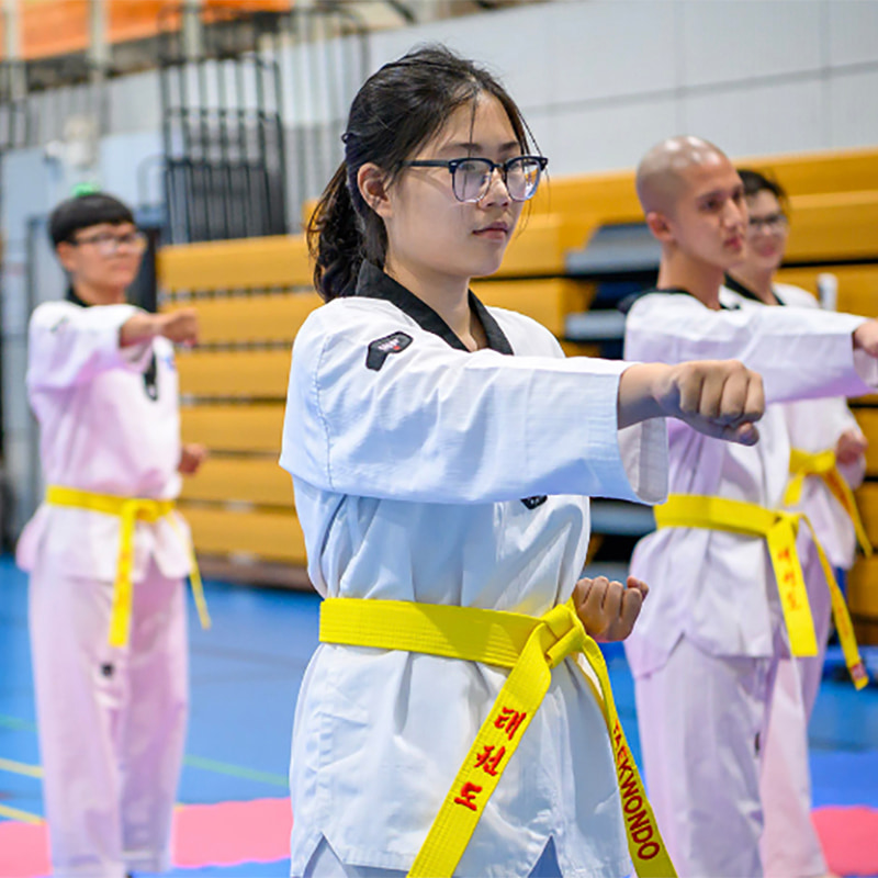 Person doing taekwondo.