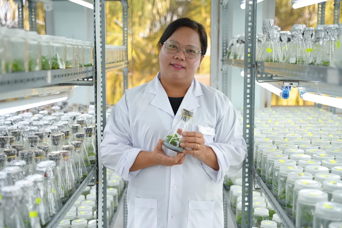 Nescafe Plan researcher coffee 1200x800