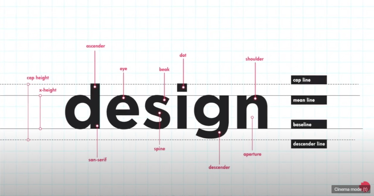 the word 'design' with measurements around on a digital canvas