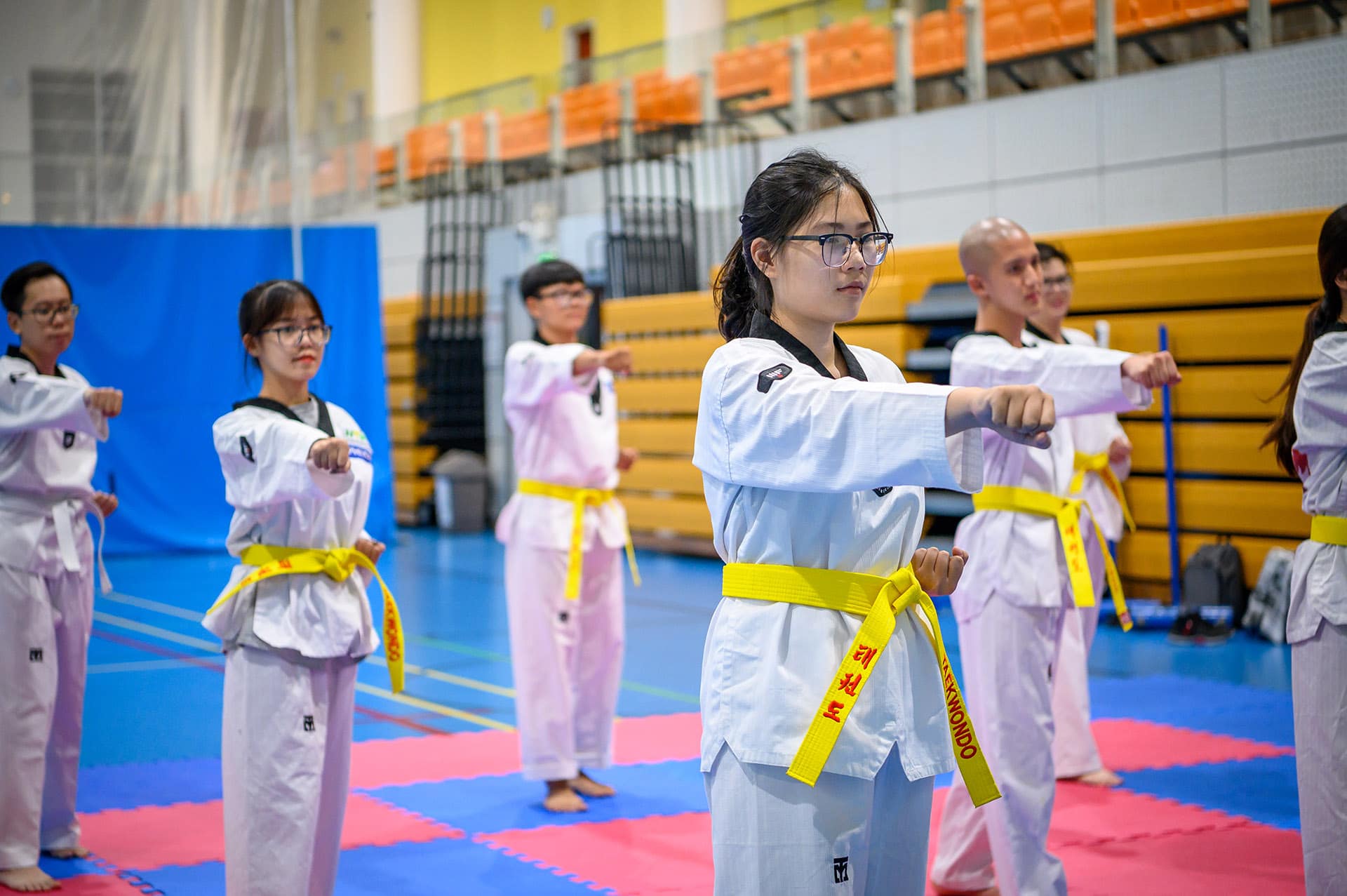 Students doing taekwondo.